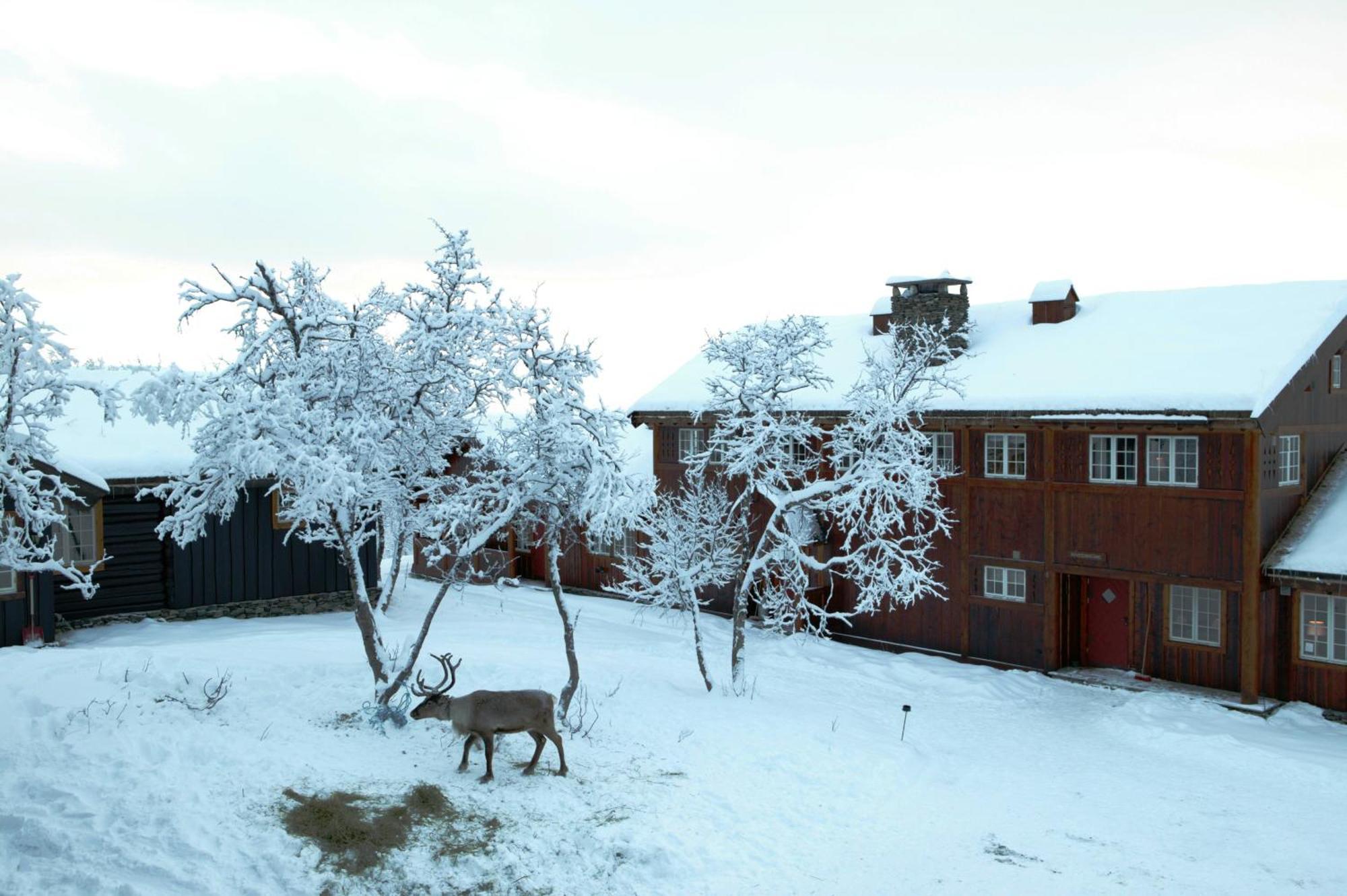Harahorn Fjellgard Hotel Grøndalen Buitenkant foto
